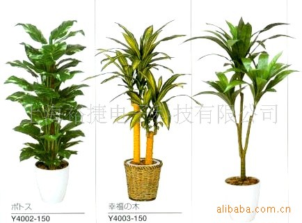 供应荣获日本发明大奖的半永久抗菌消臭净化空