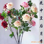 ������Ӧ�ٻ� �ٻ�� �ٻ����滨 ����õ �¼�
