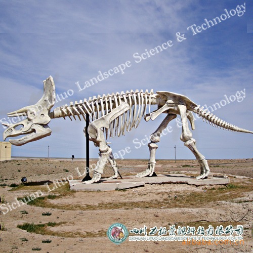 自贡恐龙博物馆 高仿真恐龙蛋化石 恐龙化石展览 2000