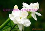 �����㾫������ϴ�·ۡ����������㡢�轺������ȣ�