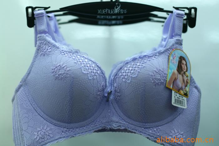 供应雪华<em>文胸</em>2097<em>中模杯</em>固定双肩带后三排扣