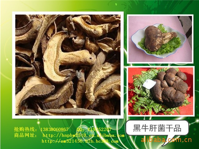 团购专供【原产地直销西峡县伏牛山土特产】牛肝菌(食用方法)