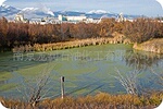供应加氢C9