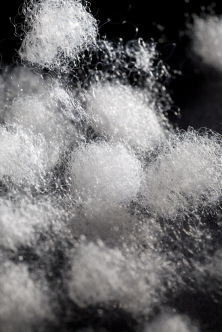 <em>批发</em>采购沙发类-供应<em>肥城</em>绿色硬质棉<em>批发</em>采购