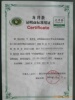 供应批发 特级龙井茶 酒店茶楼用绿茶 高级商务茶