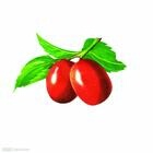 ��Ӧ�������|��˿���|Ӫ�����