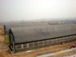 ���겼