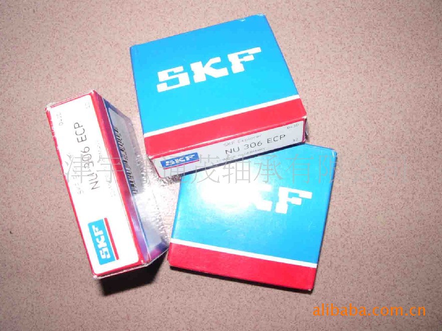 skf1