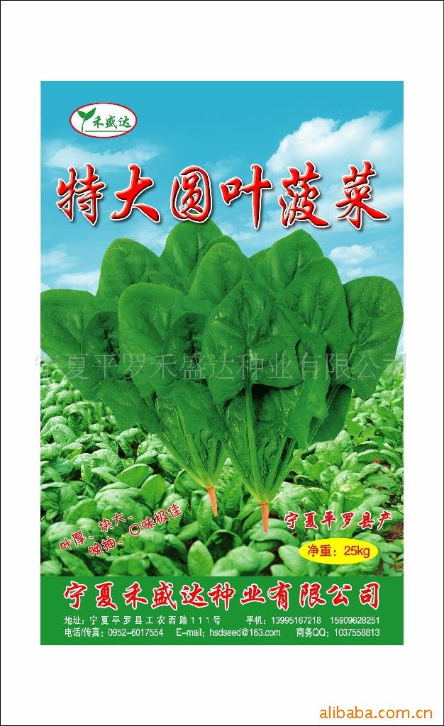请认准宁夏平罗特大圆叶菠菜种子（2012年新货上市）优秀产地