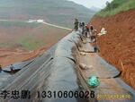 ��Ӧ��������Ĥ,������������Ĥ��HDPE����Ĥ