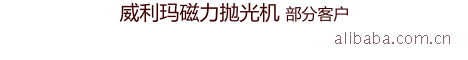 磁力抛光机/磁力研磨机/精密抛光/精密研磨/去毛刺