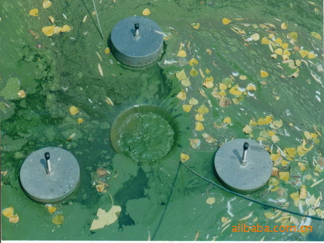 【景观水处理\/蓝藻打捞\/水华及水面漂浮物高效