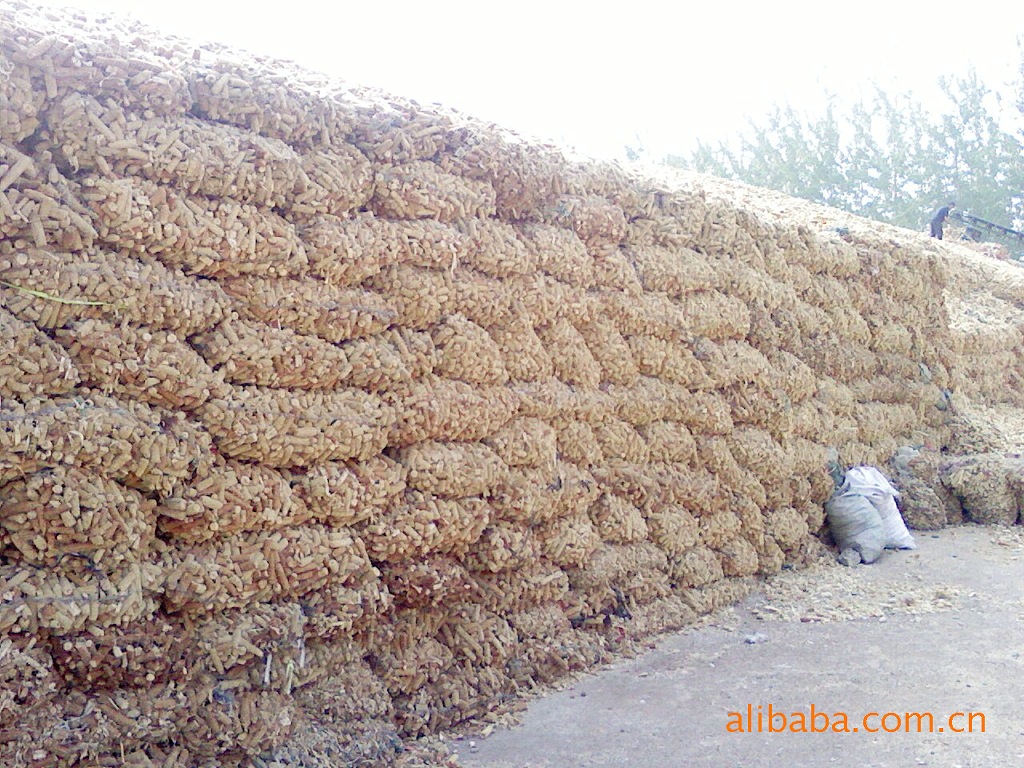 玉米芯食用菌_蘑菇_蔬菜_供应_桂林乐农网_桂林农业网 同心·信息