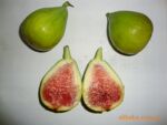 ��Ӧ�޻�����ȡ��ˮ����ȡ��