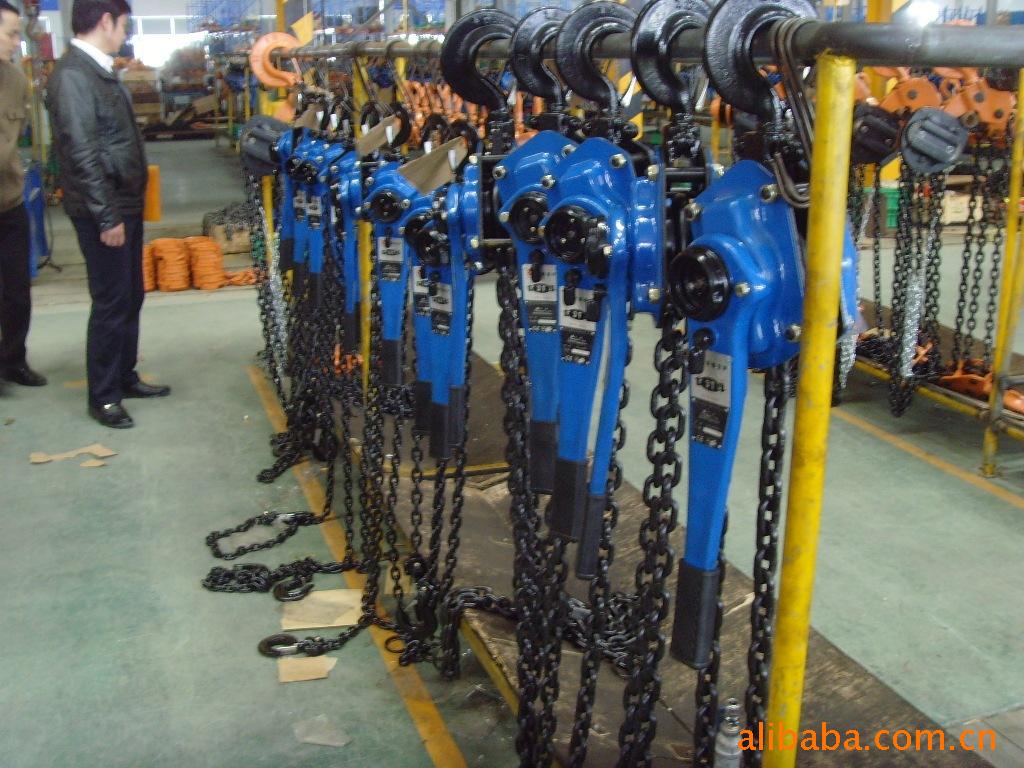 双鸟牌10t3米手拉葫芦 _ 双鸟牌10t3米手拉葫芦