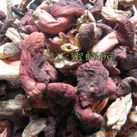 包郵 原產地直銷2011年純野生原始森林采摘精選干紅菇