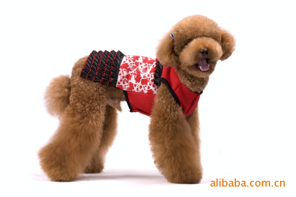 DOG&DOLL古典时尚印蕾丝百褶裙,宠物衣服