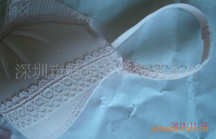 广东深圳供应可爱<em>少女装内衣</em>胸罩 蕾丝定型前
