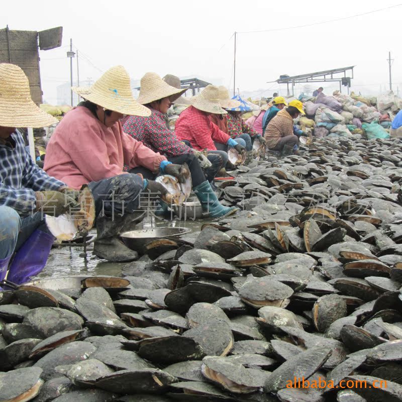 供应天然海水珍珠吊坠 大溪地黑珍珠 珍珠批发