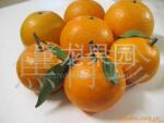 ��Ӧ�����ز�ˮ������ϵ��ʮ�½�