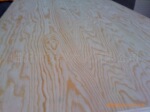 俄罗斯樟子松胶合板