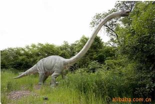 �������� ������� ������ʯģ�� �������