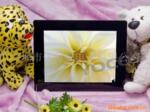 �ſ���15��������� �����³裬�������壬�������