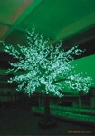 LED����ֲ������LED���۵ƣ��ƺ���������