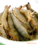 ����������Ұ������ ��Ϻ�� WHITE SHRIMP��
