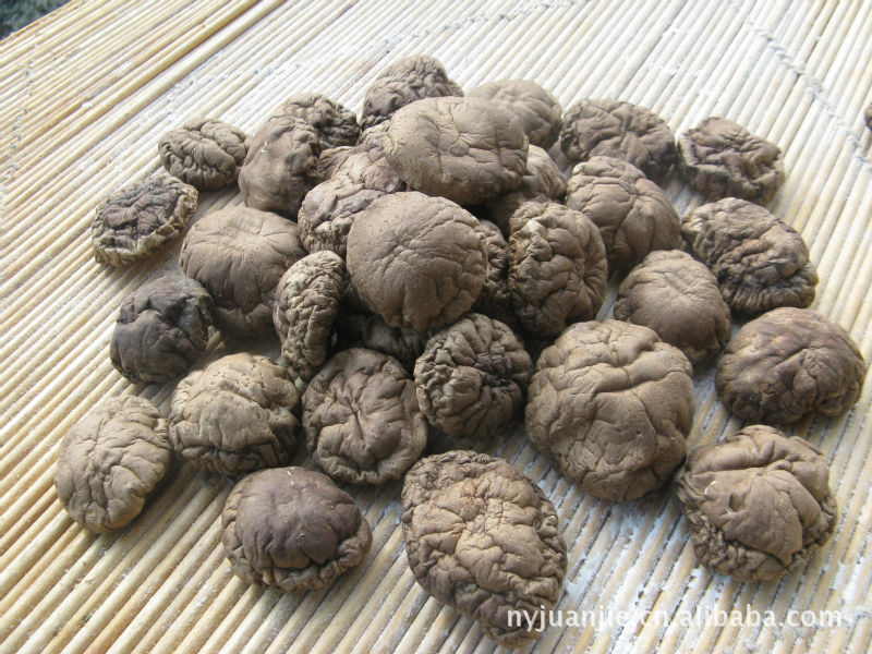 2011干香菇 河南西峽特產 內鄉娟姐土特產批發專營 3-4公分