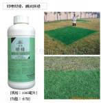 大量批发供应草坪专用增绿剂“喷绿”,即喷即绿