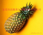 ��Ӧ�����㾫���ܽ����㾫����������