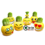 草娃娃 新款笑脸旺旺 旺旺表情盆栽 青草种植 办公室居家摆设
