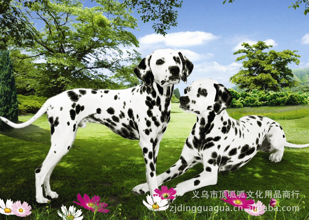 年画立体画 PET高清三维立体画批发 50*70一