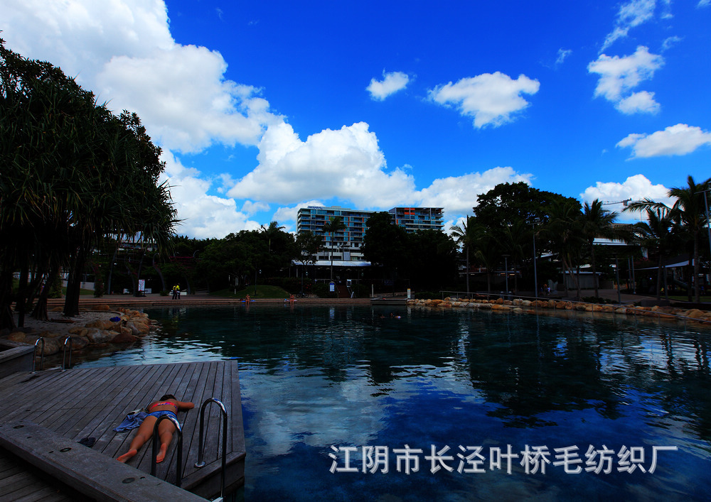 好想去私奔--撒哥背信弃义,喜鹊毫不知情。情何