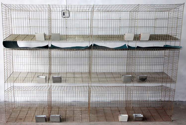 厂家直销优质养殖设备兔笼子、子母笼014图片