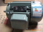 Y80M2-2�綯��