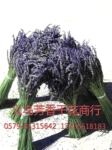 供应现货|批发芳香优质纯天然薰衣草干花束