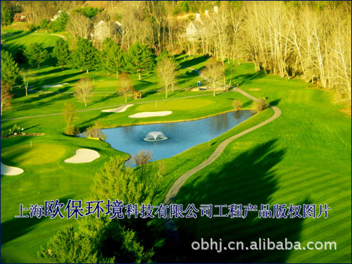 喇叭花形喷泉图片_