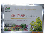 供应高含量基施硼肥——强力硼(15%B)