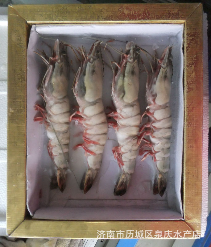 濟南泉慶水產 和諧人家精致禮盒海蝦 節日饋贈佳品