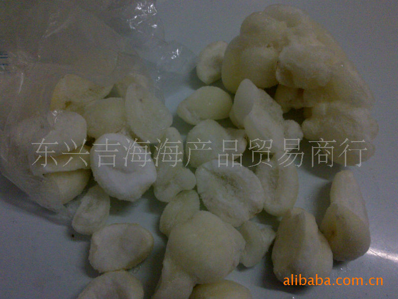 批发供应新鲜冰冻海底椰-清肺止咳效果很好