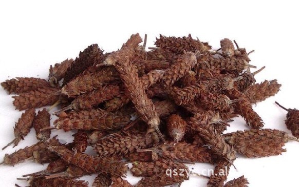 【中草药 夏枯球 量大从优】价格,厂家,图片,植物中药材,制衣厂-马可波罗网