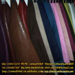 �ṩţƤ������ط��� Ƥ����� Ƥ�Ͻ��ڱ��ش���