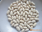 本公司常年供应优质白沙克芸豆