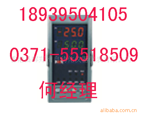 【NHR-5300系列人工智能PID调节器 新虹润\/香