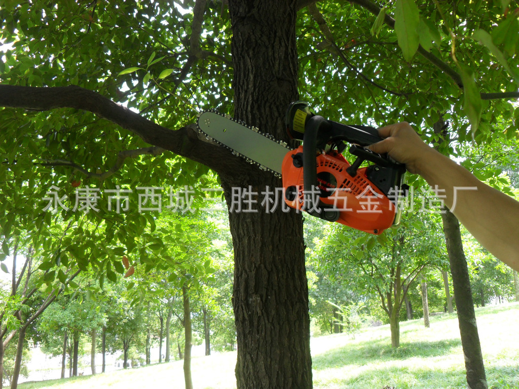 2500小型汽油锯-油锯价格及生产厂家(永康市西