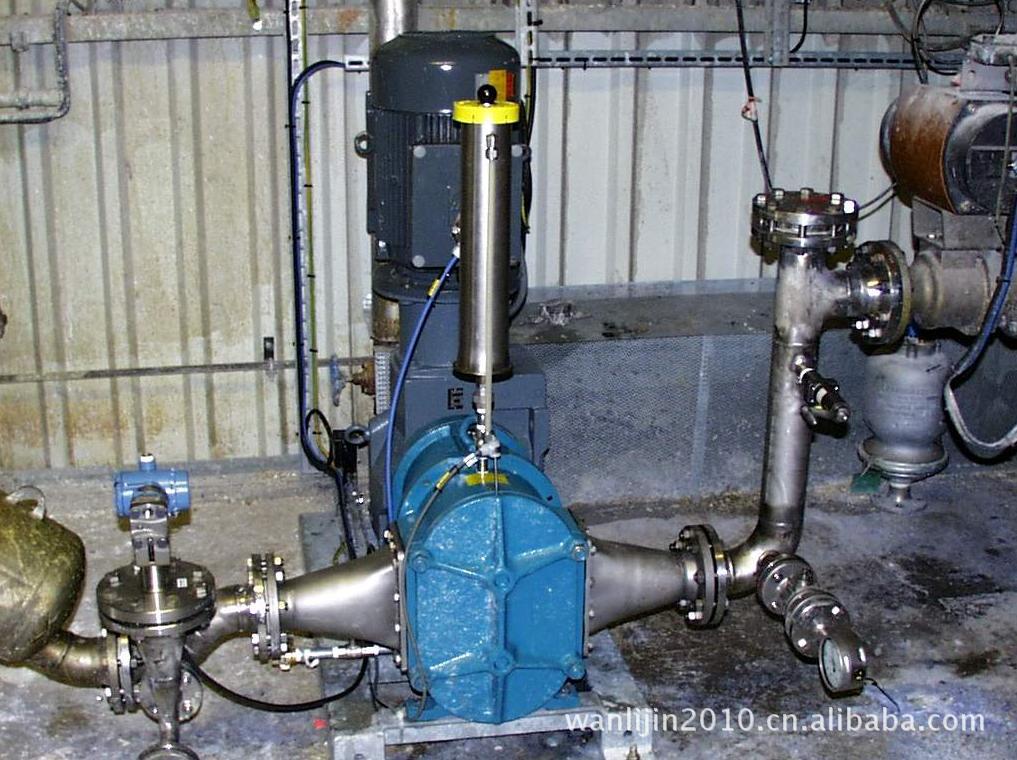 博格凸轮泵 转子泵 fl518 车载泵