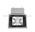 ���ʹ�Ӧ100W�����RV-FGD-100W