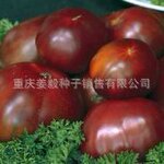 Russian Black Tomato 黑番茄种子 大果黑番茄种子 原装进口